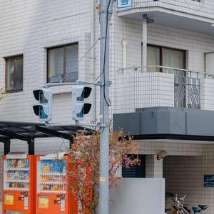 陪你到天涯海角