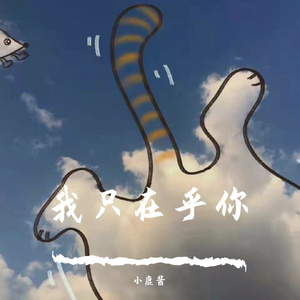 我只在乎你