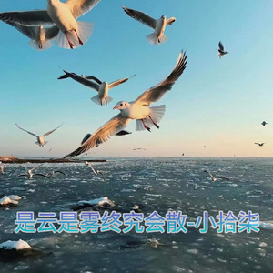 一句我爱你全国各地电闪雷鸣暴风雨