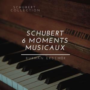 6 Moments musicaux, Op. 94 (D.780): IV - Moderato in C-sharp Minor