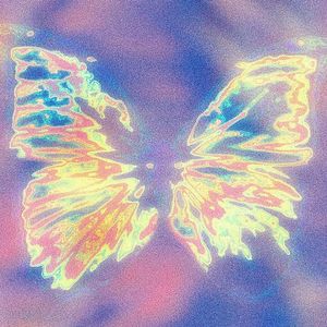 Meteor Shower Butterfly（流星雨碟）