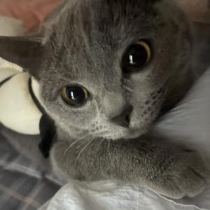 爱情码头.翻唱（remix）（翻自 兰猫君）