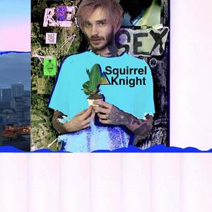 Squirrel Knight