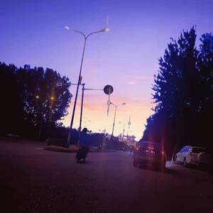 奉天组 / 群星-暴风雨（zy / AKA老黑 remix）