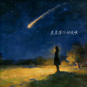 星星落下的夜晚