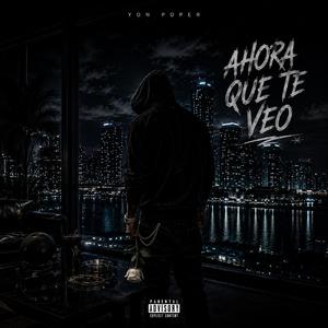 Ahora que te veo