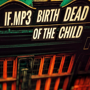 Raindrops Collected in the Sunset