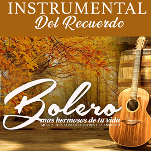 Quien No Tiene una Ilusión ((Instrumental))