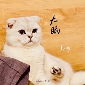 大眠
