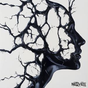 Nerves