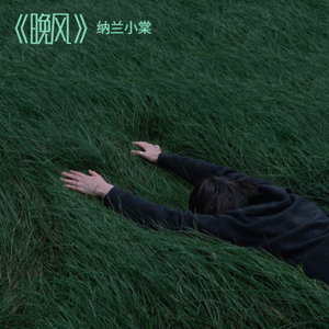 你像风来了又走