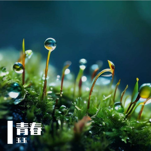 青春的回声