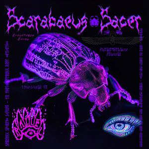 Scarabaeus Sacer