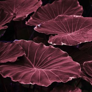 微妙的泰式按摩心情