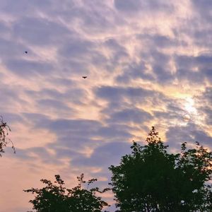 晴天我们别哭泣