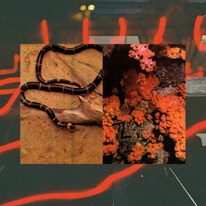 Ascendente (feat. Juan Mango)