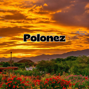 Polonez