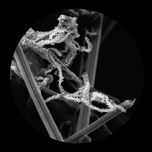 Memory Palace (feat. Anne Norman)