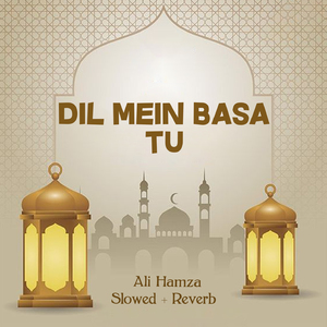 Dil Mein Basa Tu Lofi