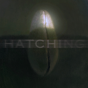 Hatchery (Demo Version)