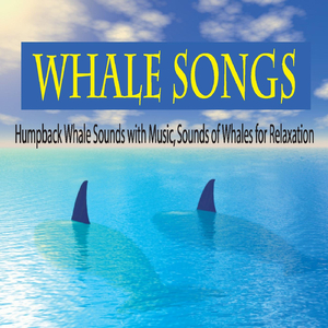 Whale Song