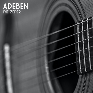 die Zeder