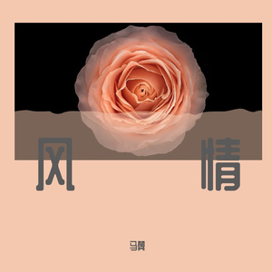 可惜不是