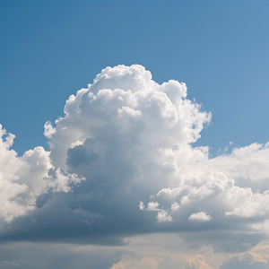 Silagaon Jenny, Why'd You Run