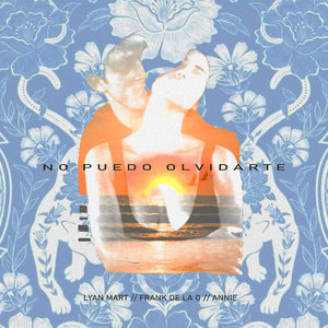 No Puedo Olvidarte
