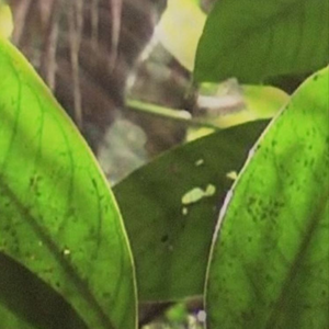 10k Special Sample Contest (read desc.)