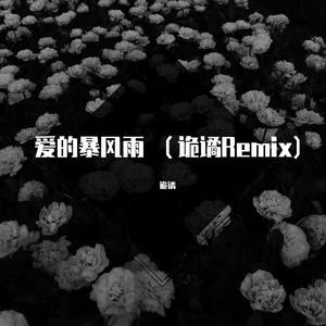 爱的暴风雨 (诡谲 Remix)