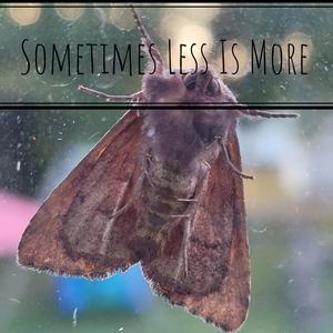 What's On Your Mind?