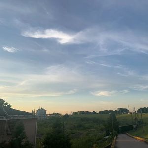 栀白染夏 (13)