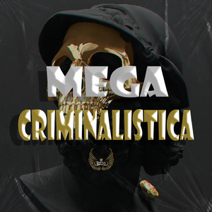 MEGA CRIMINALISTICA