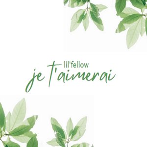 Je t'aimerai