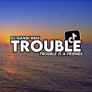 DJ Trouble Is A Friend ins