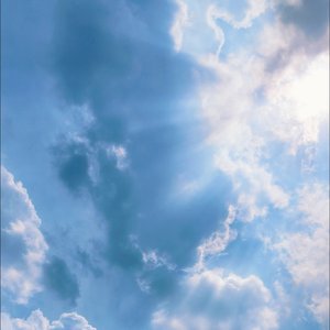 敏感是善良者的天赋