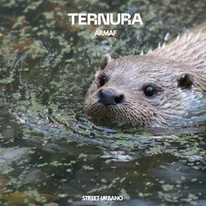 TERNURA