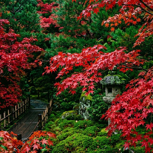 紅翠