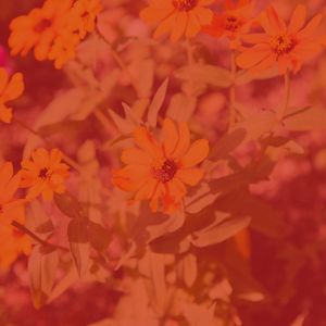 抚慰的温泉回忆