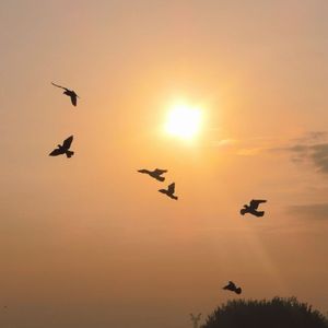 今天的我，在昨天就已经死了deom