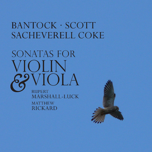 Violin Sonata No. 1 in D Minor, Op. 46:II. Andante sostenuto - Poco più mosso, con moto, agitato - Tempo I