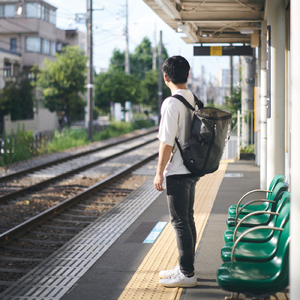 ありがとうの花