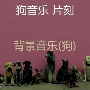 睡狗-服从