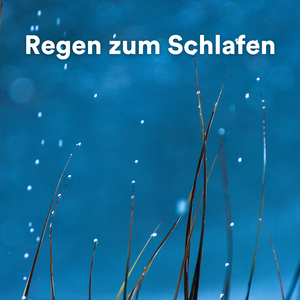 Regen Geluiden, Pt. 7