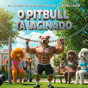 O PITBULL TA VACINADO