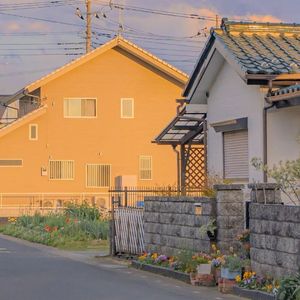 一场游戏一场梦