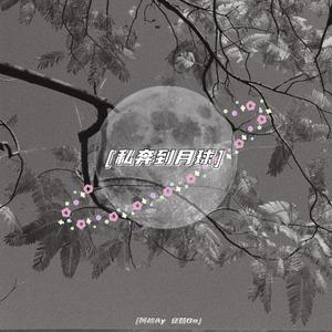 私奔到月球（翻自 陈绮贞）