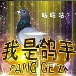 只要平凡（我是鸽手版）