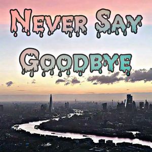 Never Say Goodbye